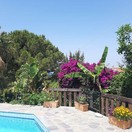 Villa Suites Lagonisi Luxury Kültér fotó